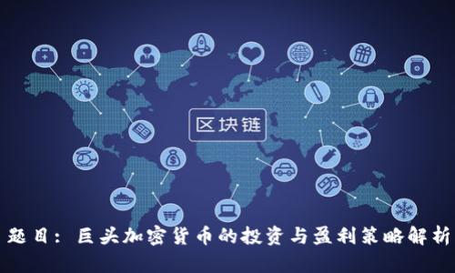 题目: 巨头加密货币的投资与盈利策略解析
